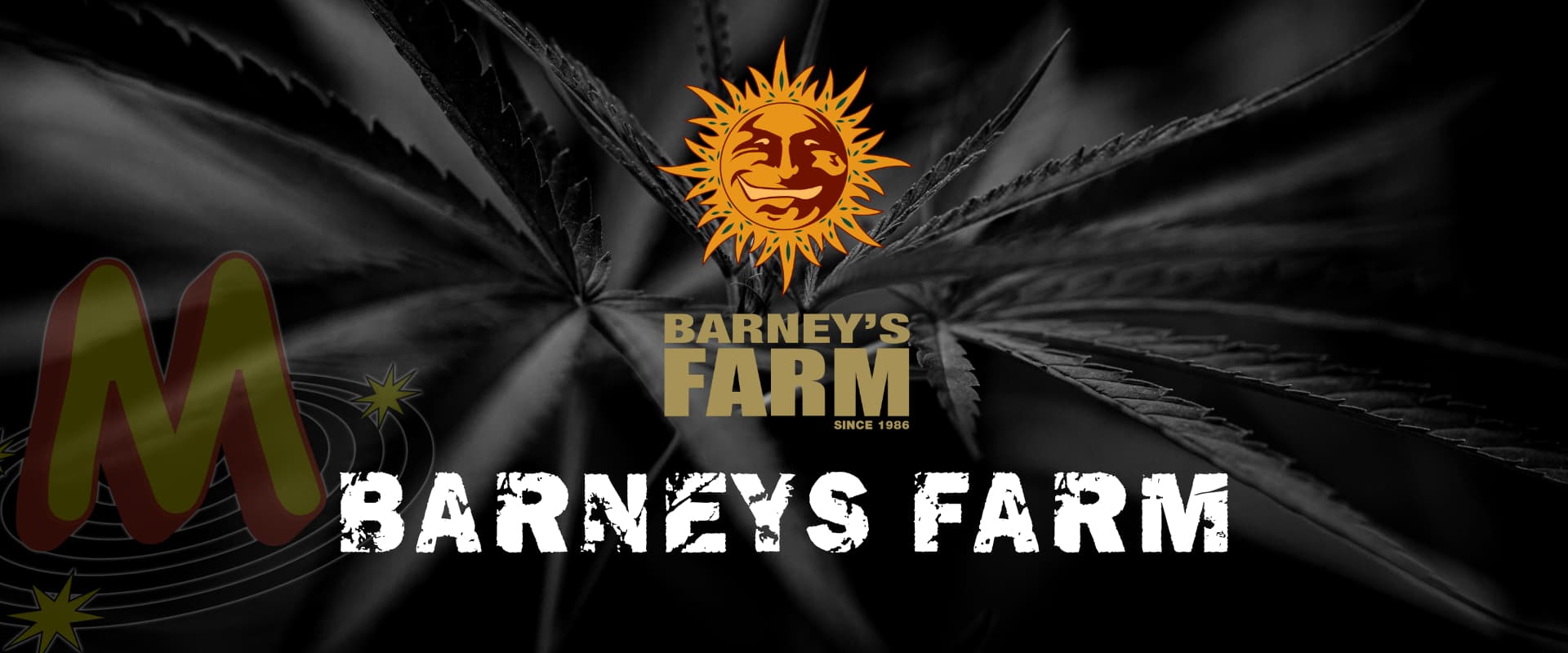 Barneys Farm Banner