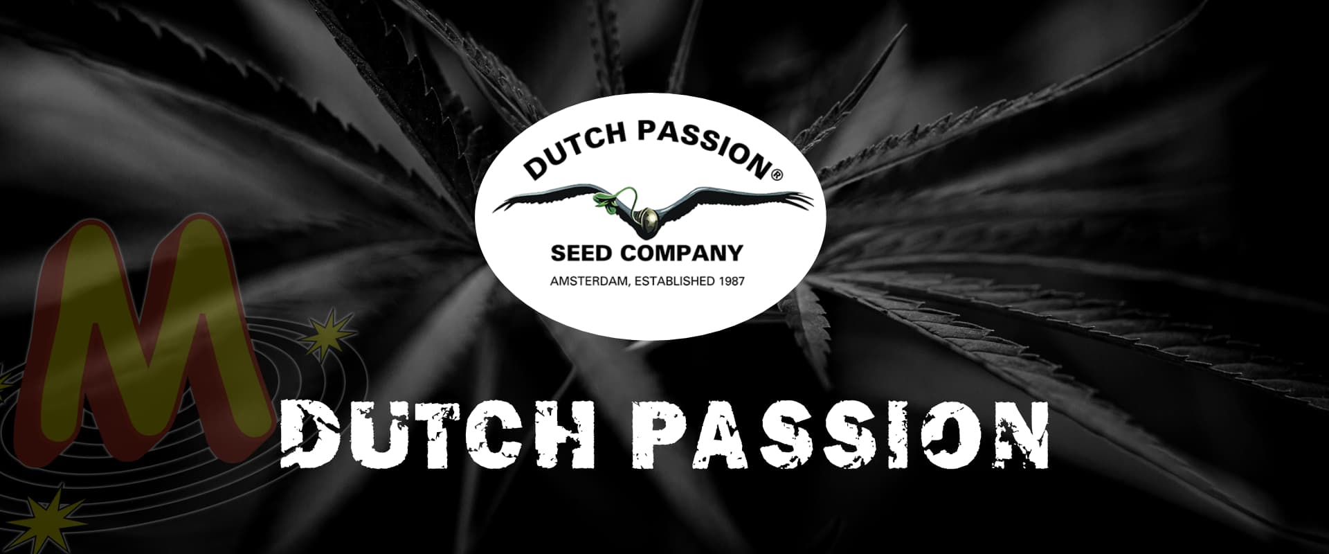 Dutch Passion Banner