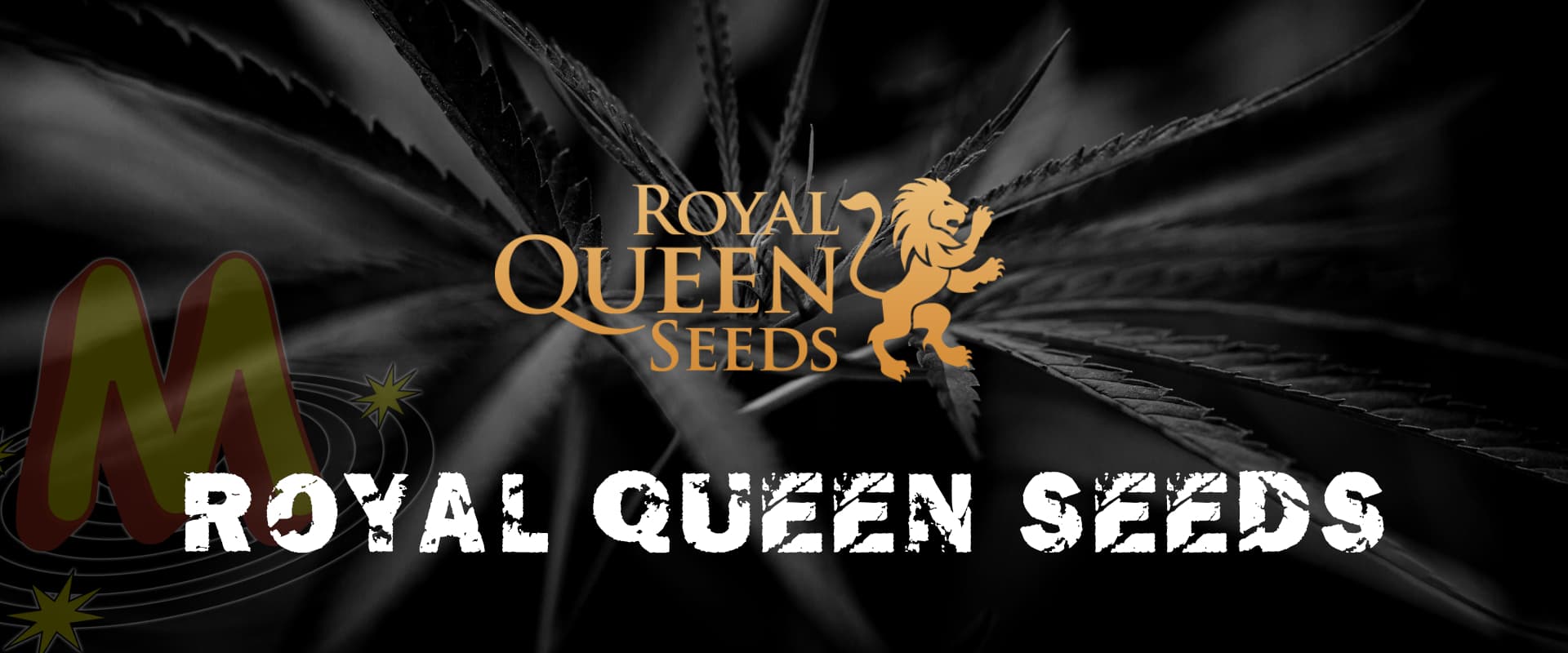 Royal Queen Seeds Banner