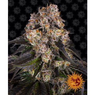 Barneys Farm Girl Scout Cookies