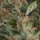 Pyramid Seeds Auto Wembley autofem 5er
