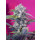 Sweet Seeds Cream Mandarine autofem 3er