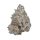 Growers Choice White Truffle limited Edition female