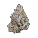 Growers Choice White Truffle limited Edition female 10er