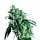 Sensi Seeds Super Skunk regular 10er