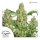 Dutch Passion Power Plant regular 10er