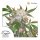 Dutch Passion White Widow female 5er