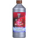 HESI Boost 1 l