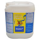 Advanced Hydroponics Natural Power Enzymes+ 5 l