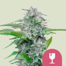 Royal Queen Seeds Critical female 10er