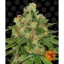 Barneys Farm CBD Caramel regular 10er