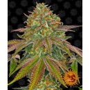 Barneys Farm Wedding Cake female 5er