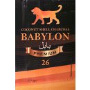 Babylon Shisha Naturkohle 1 kg &aacute; 64 W&uuml;rfel