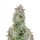 Fast Buds Forbidden Runtz Auto