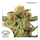 Dutch Passion Orange Hill Special
