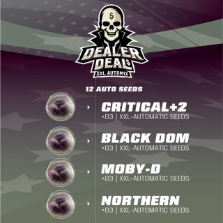 BSF Dealer Deal Mix autofem 12er