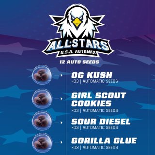 BSF All Stars USA Mix autofem 12er