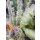 Sweet Seeds Sweet Mandarine Zkittlez F1 Fast Version female 5er